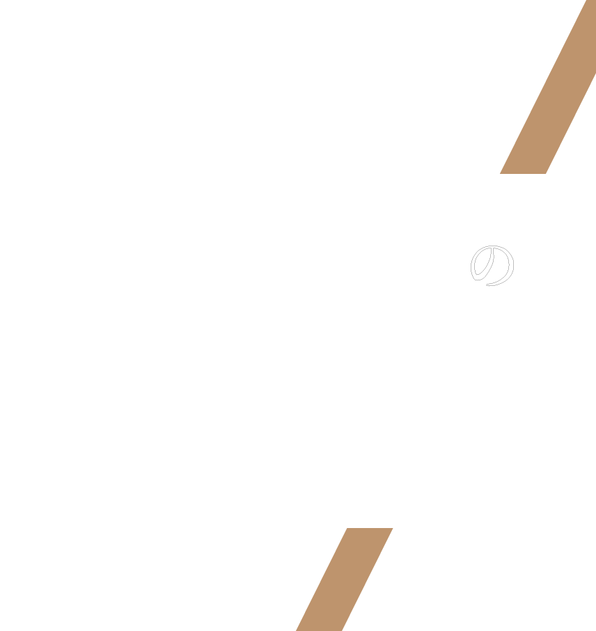 プラスチック成形のプロフェッショナル